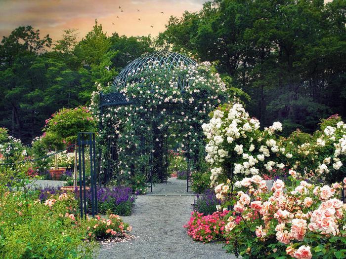 Pergola i landskapsdesign: egenskaper og formål.