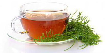 rooibos te anmeldelser