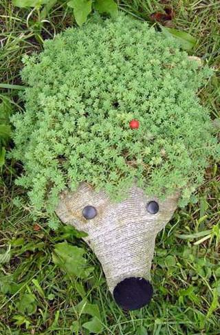 Hedgehog fra en plastflaske.