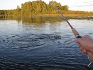 Lake Duderhof: beskrivelse og anmeldelser