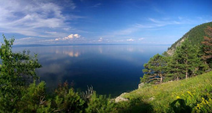 bilde av Baikal flora