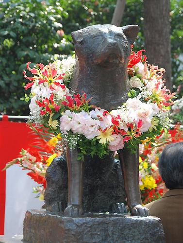 Monument til hunden Hachiko