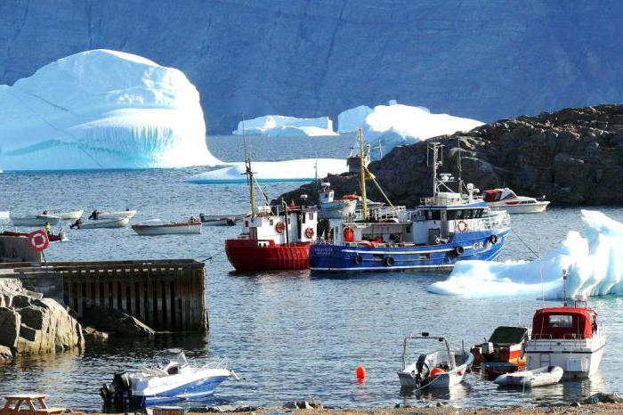 Sea of ​​Greenland: beskrivelse, beliggenhet, vanntemperatur og fauna