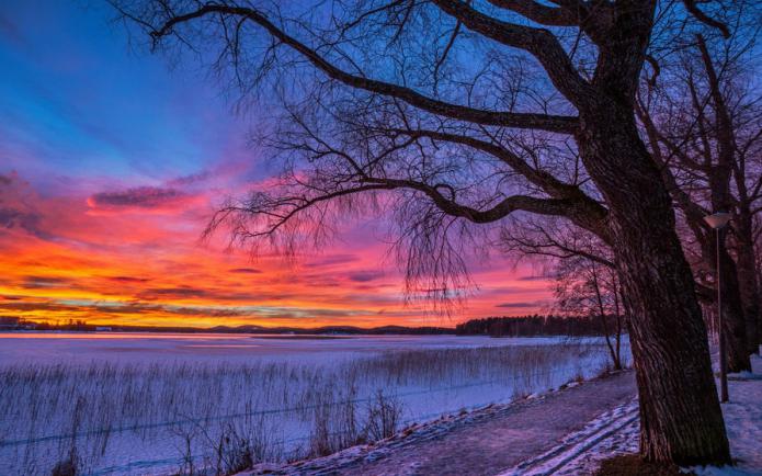 Beskrivelse av vinter naturen