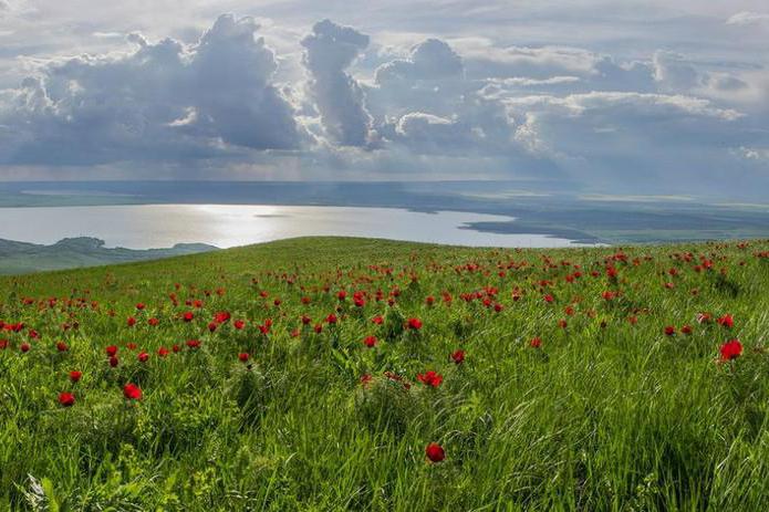 Vær og klima i Stavropol Territory