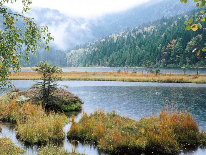 naturområder av tyskland foto 