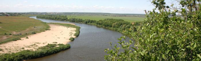 Naturen i Voronezh-regionen