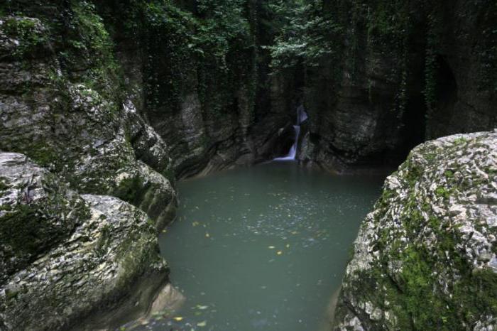 Sochi National Park: historie og modernitet