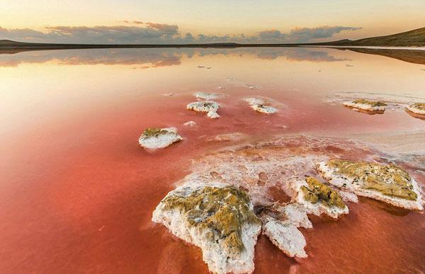 salt innsjø med rosa farge på Krim 