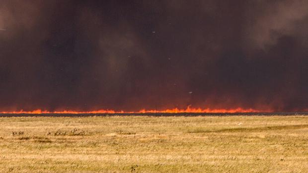 Steppe branner. Metoder for å slukke steppe branner