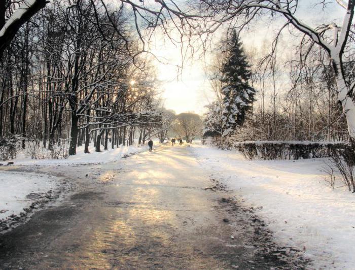 Temperaturen i Moskva i januar - er det en global oppvarming?