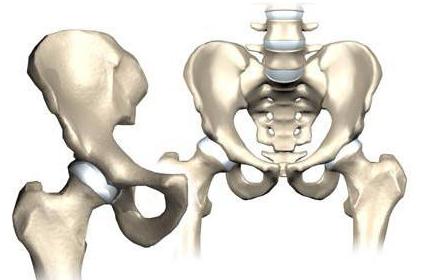 femoral kanal struktur 