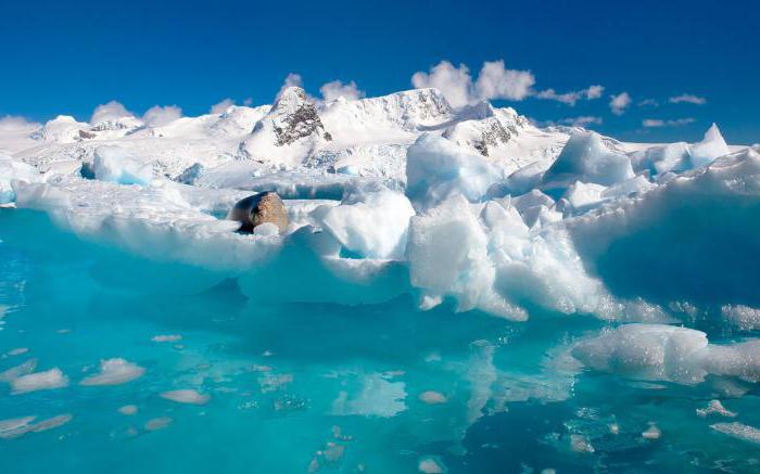 Hvilke kontinenter vaskes av Arktis? Dens funksjoner
