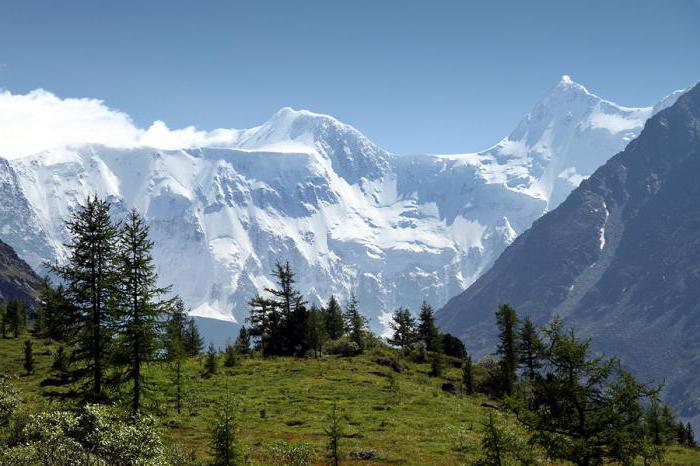 rekreasjon sentre i fjellet altai om vinteren