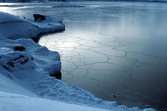 som oppdaget Bellingshausenhavet