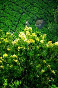 India: bilder, natur og severdigheter