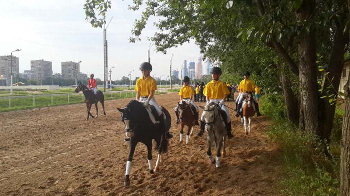 Horse Park "Rus" - et sted for gjenopplivelse av tradisjonene for russisk hestavl og underholdning for hele familien