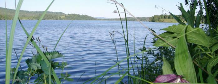 Krasnoyarsk Territory: Lake Linevo. Photo. Rekreasjonssentre