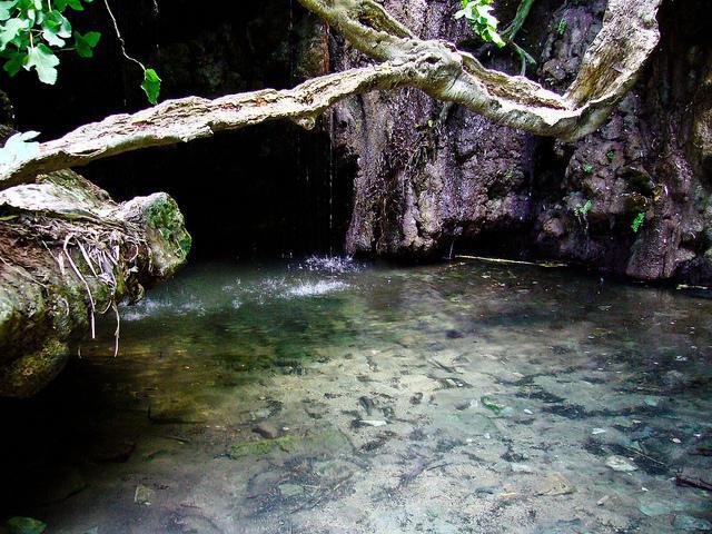 aphrodite cyprus svømmebasseng bilde 