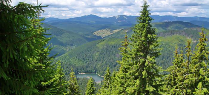 Lake Synevyr - "Karpatens perle"