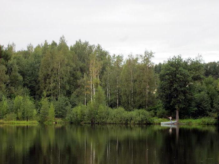 Lake Zhdanov i Vsevolozhsk