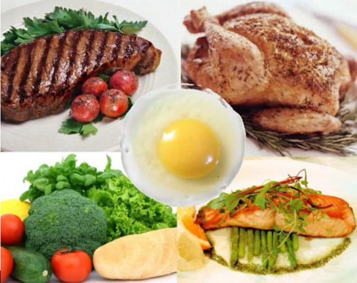 High-protein diett for vekttap vurderinger