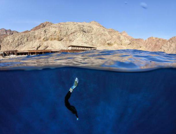 Fundamentals og teknikk for freediving. Freediving - hva er det?