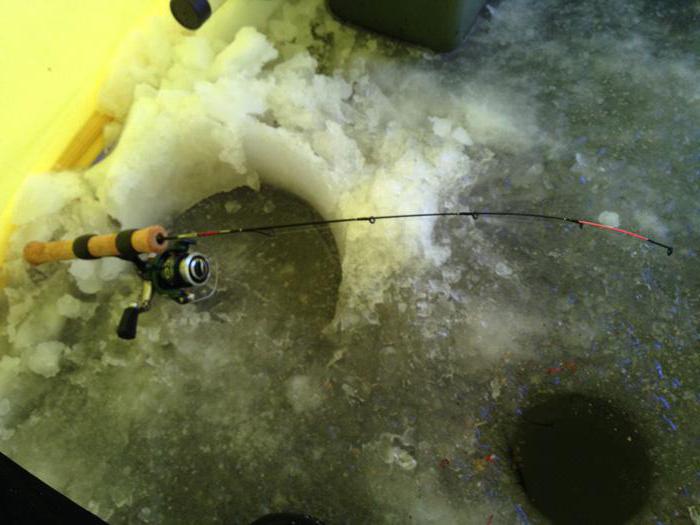 Vintermatre fra is: rigging. Fiskehemmeligheter