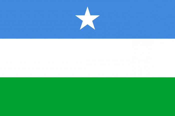 Flagg av Somalia: historie og beskrivelse