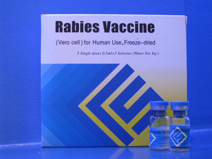 Immunoglobulin anti-rabies fra hesteblodserum