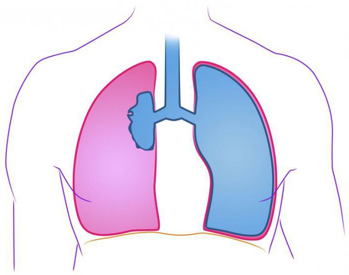 pneumothorax etiologi