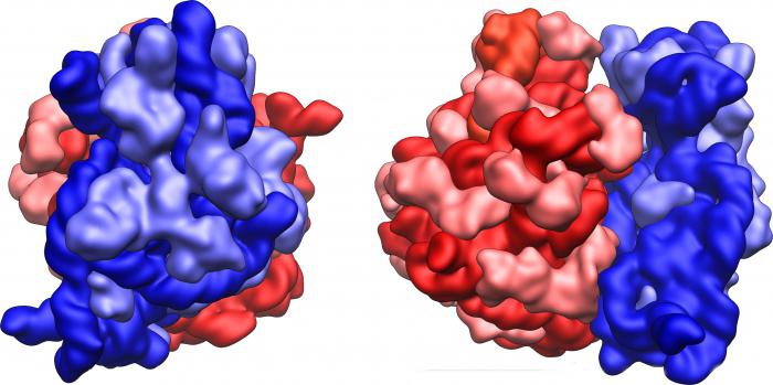 sammensetning av DNA og RNA